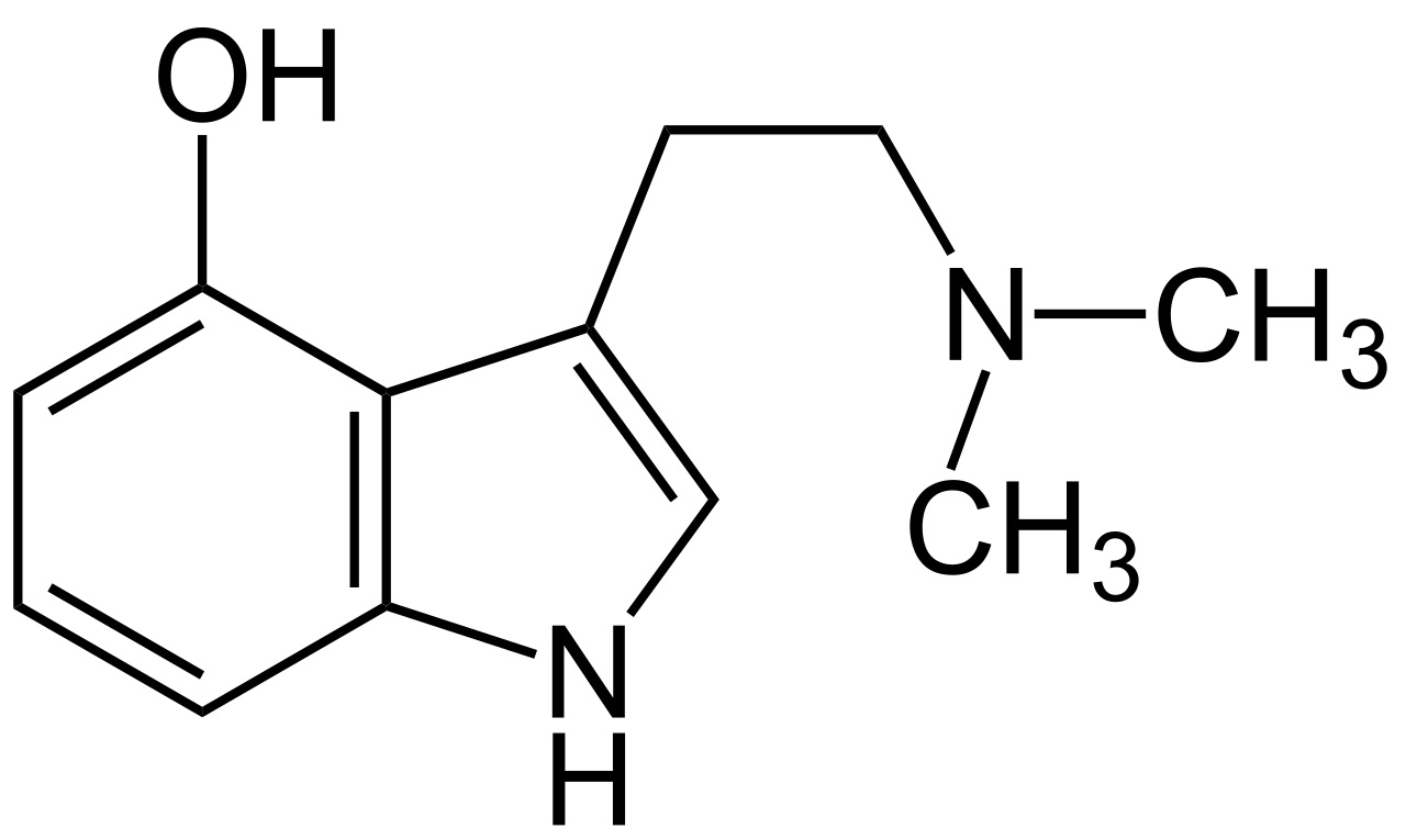 Transformation of psilocybin into psilocin
