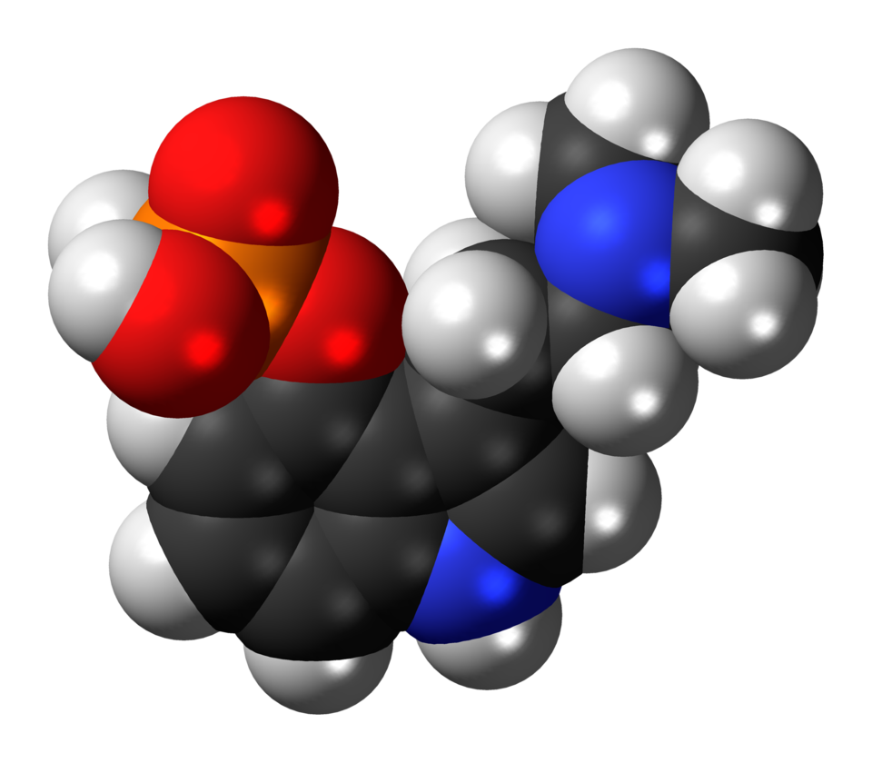 Three-dimensional model of the psilocybin molecule