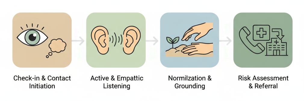 Fases de actuación en