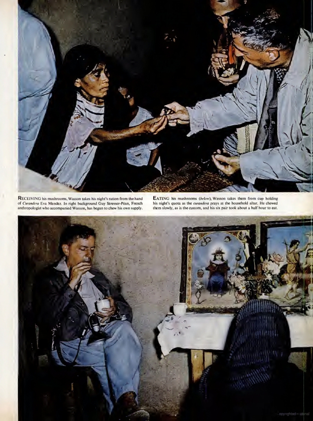 Extract from the article 'Seeking the Magic Mushroom' from Life magazine