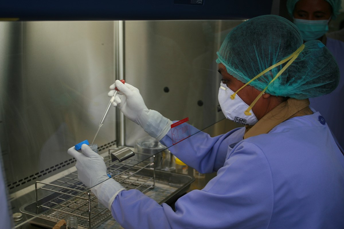 Klinisk laboratorium undersøger svampe