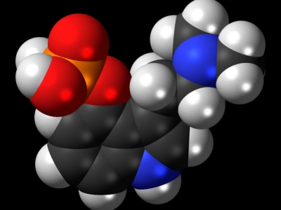 Psilocibina: qué es, cómo actúa y qué efectos tiene el compuesto de los hongos mágicos