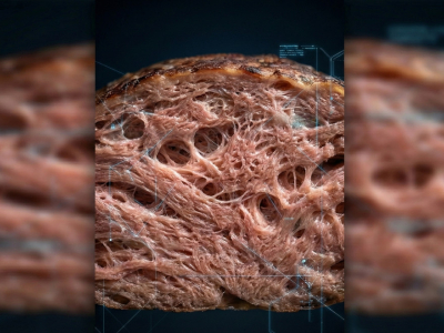 Fusarium venenatum, el hongo que desafía la eficiencia de la industria cárnica